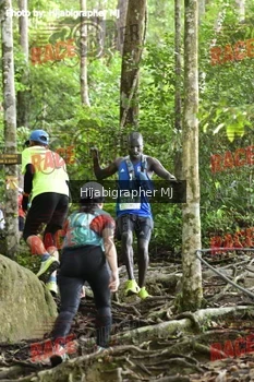 Runner Photo 523781