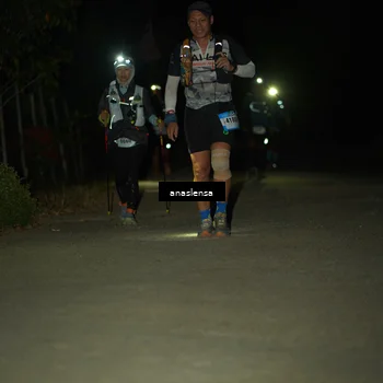 Runner Photo 5237852