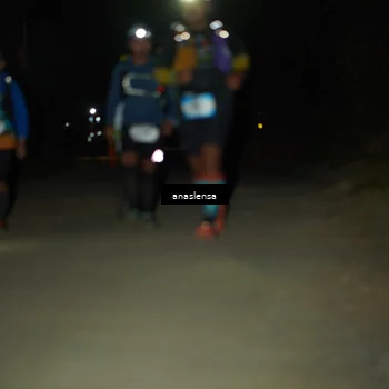 Runner Photo 5237912