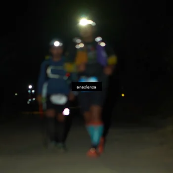 Runner Photo 5237913