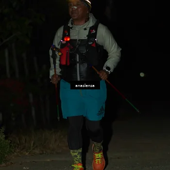 Runner Photo 5237958