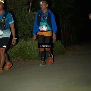 Runner Photo 5237992