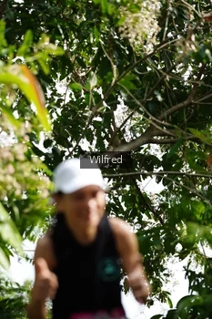 Runner Photo 5238616