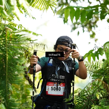 Runner Photo 5238626