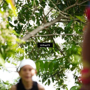 Runner Photo 5238634