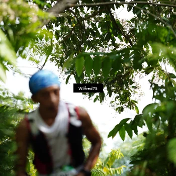 Runner Photo 5238641
