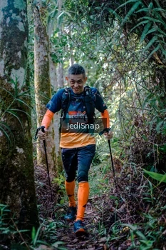 Runner Photo 5238660