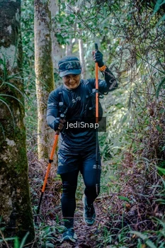 Runner Photo 5238676