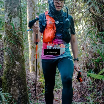 Runner Photo 5238706