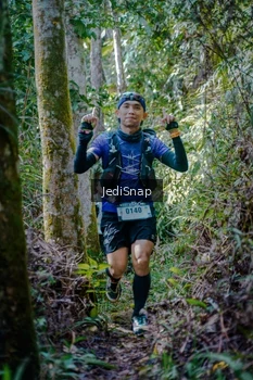 Runner Photo 5238750
