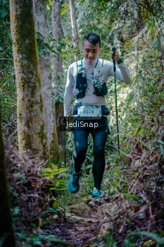 Runner Photo 5238764