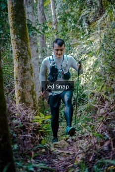 Runner Photo 5238766
