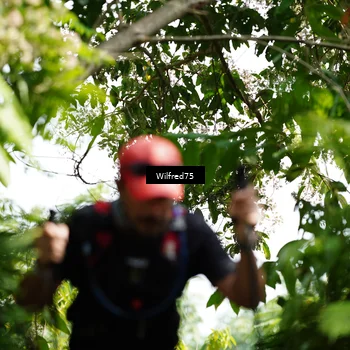 Runner Photo 5238824