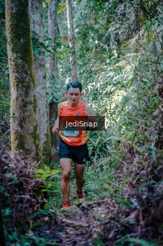 Runner Photo 5238832