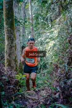 Runner Photo 5238835