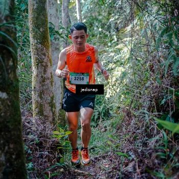 Runner Photo 5238841
