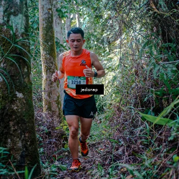 Runner Photo 5238843