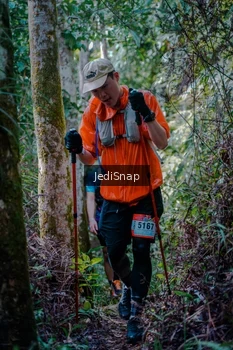 Runner Photo 5238911