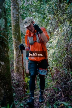Runner Photo 5238919