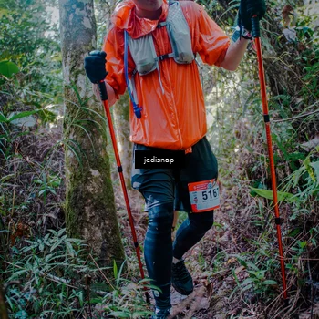 Runner Photo 5238934