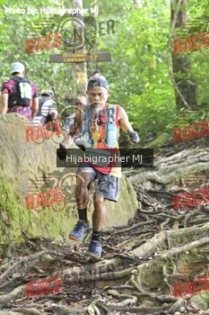 Runner Photo 523904
