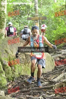 Runner Photo 523910