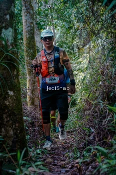 Runner Photo 5239238