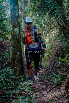 Runner Photo 5239246