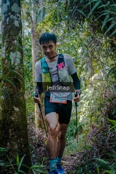Runner Photo 5239305