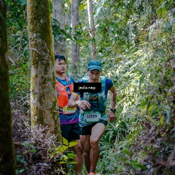 Runner Photo 5239367