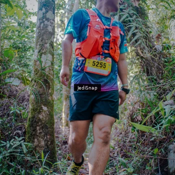 Runner Photo 5239391