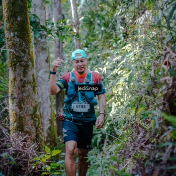Runner Photo 5239395