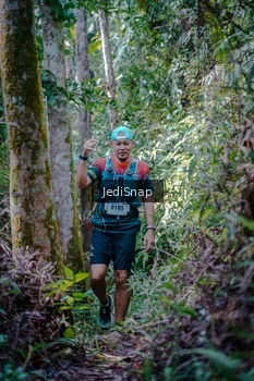 Runner Photo 5239400
