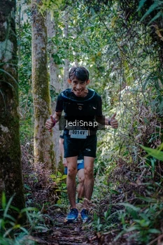 Runner Photo 5239501