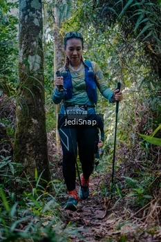 Runner Photo 5239545