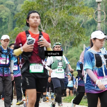 Runner Photo 5239571