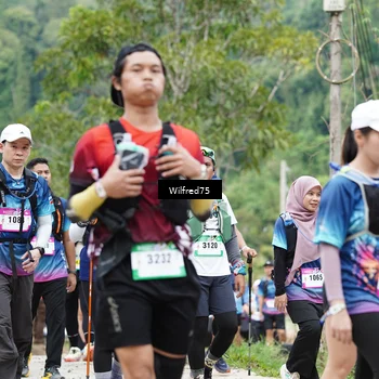 Runner Photo 5239597