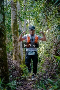 Runner Photo 5239657