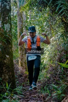 Runner Photo 5239661