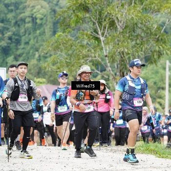 Runner Photo 5239795