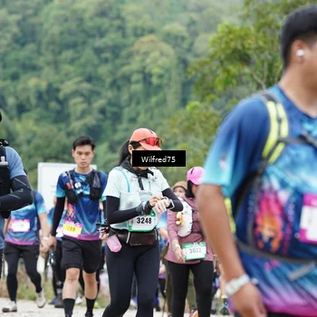 Runner Photo 5239989