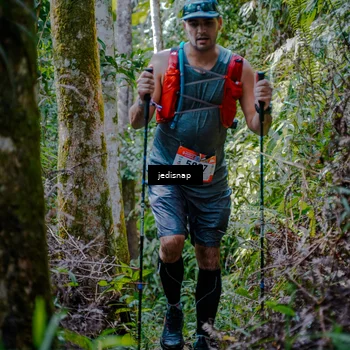 Runner Photo 5239994