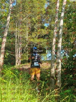 Runner Photo 5240