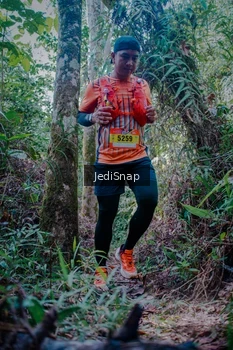 Runner Photo 5240078