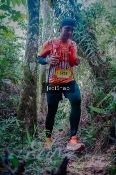 Runner Photo 5240079
