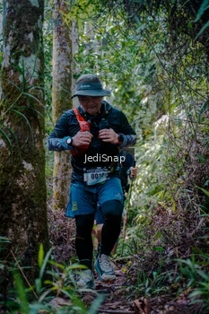Runner Photo 5240152
