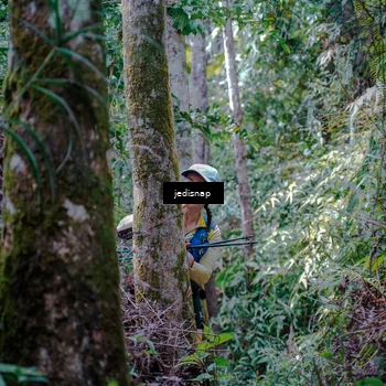 Runner Photo 5240216