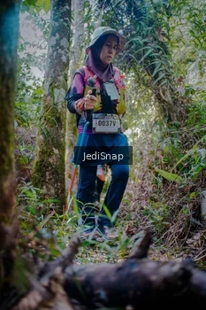 Runner Photo 5240396