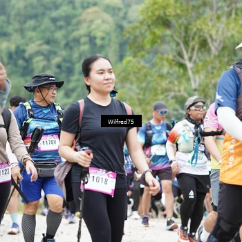 Runner Photo 5240418