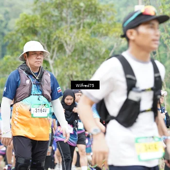 Runner Photo 5240421